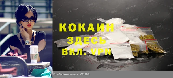 прущий лед Богданович