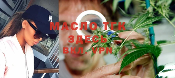 крисы Сосновый Бор