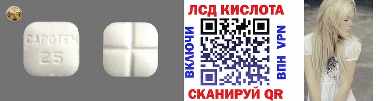 Лсд 25 экстази кислота  Шацк 
