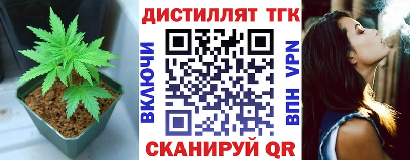 где продают наркотики  darknet клад  Дистиллят ТГК гашишное масло  Шацк  mega как зайти 